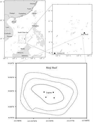 Frontiers Long Term Variations In Trophic Groups Of Coral Reef Fishes